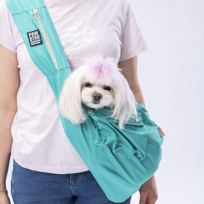 Pawstar Mint Crossbody Küçük Irk Köpek Taşıma Çantası 50x15x20 Cm