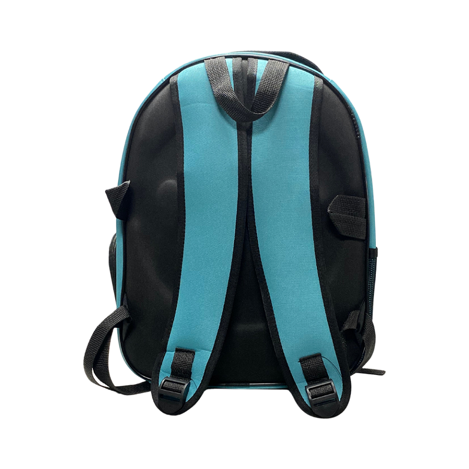 Jumbo Astronot Kedi ve Köpek Çantası Turkuaz (47 x 37 x 33 cm)