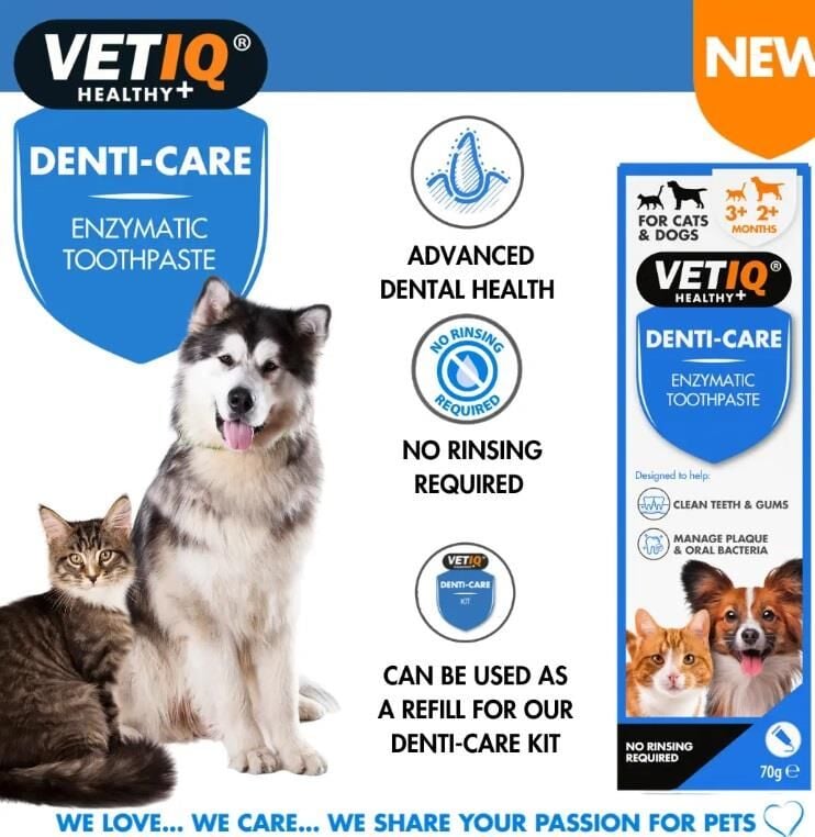 Vet IQ Denti Care Kedi Köpek İçin Diş Macunu ve Diş Fırçası Seti