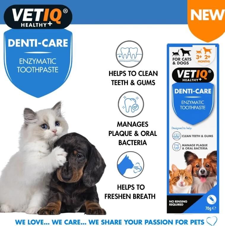 Vet IQ Denti Care Kedi Köpek İçin Diş Macunu ve Diş Fırçası Seti