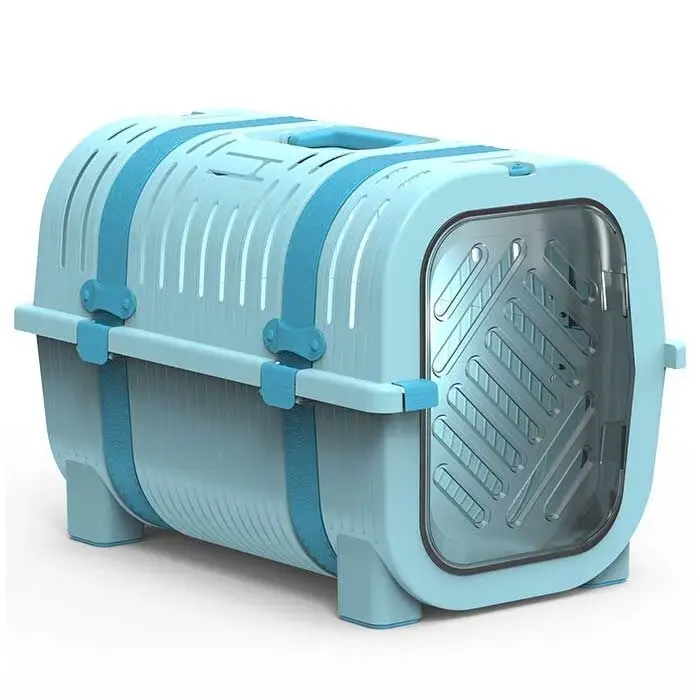 Rainbow Turkuaz-Beyaz Taşıma Kutusu 51x33x36