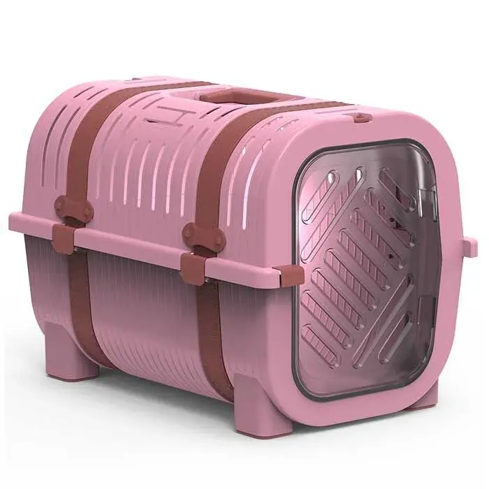 Rainbow Gülpembesi Taşıma Kutusu 51x33x36