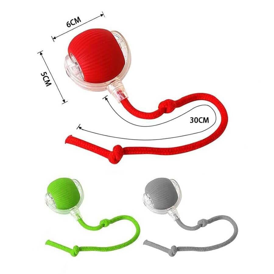 Pet Corn Hareketli Halkalı Top