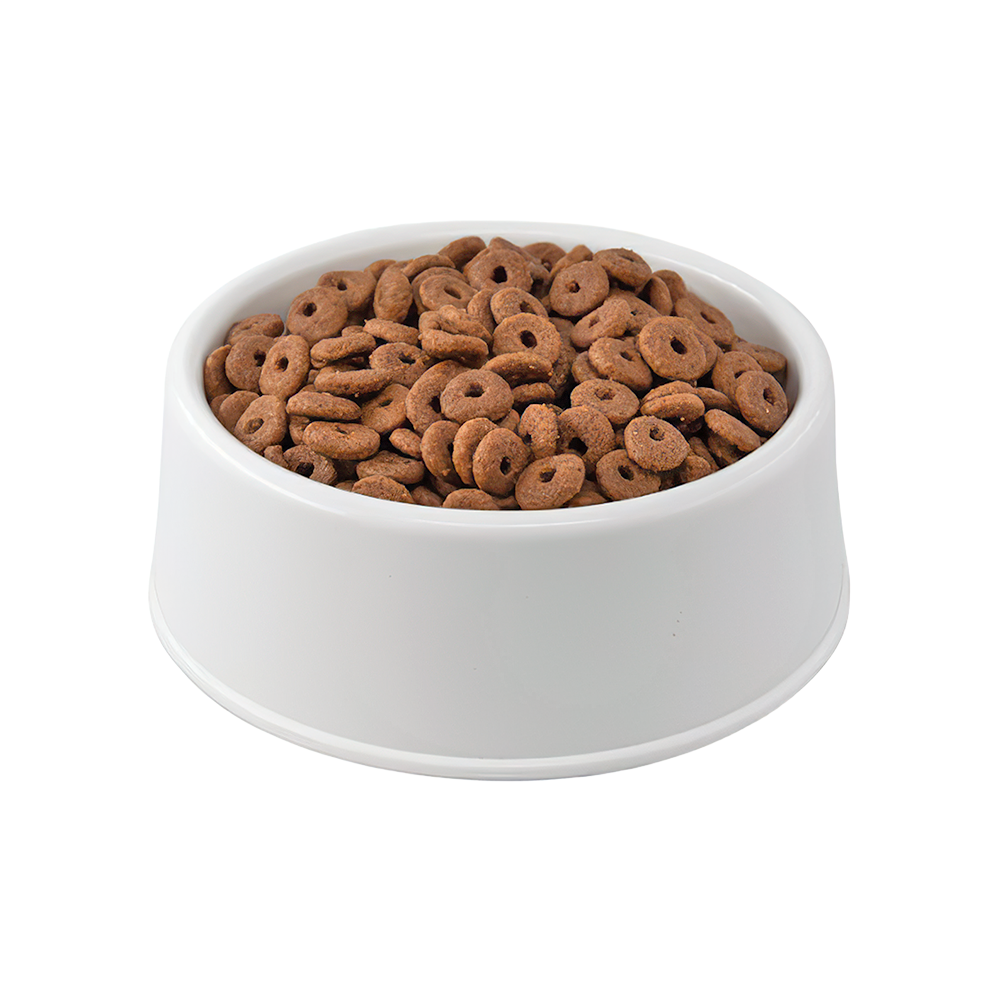 Royal Canin Regular Fit 32 Açık Yetişkin Kedi Maması