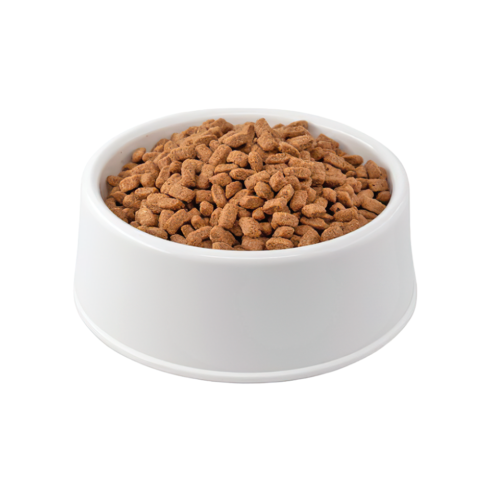 Purina Pro Plan Somonlu Açık Kısırlaştırılmış Kedi Maması