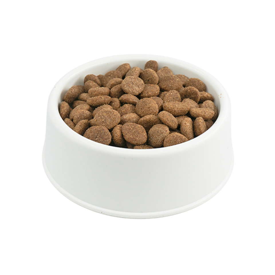 Purina Pro Plan Somonlu Orta Irk Açık Yetişkin Köpek Maması