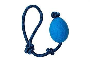 Kiwi Walker Dayanıklı Yüzen Köpek Oyuncağı Fırlat At Egg Maxi