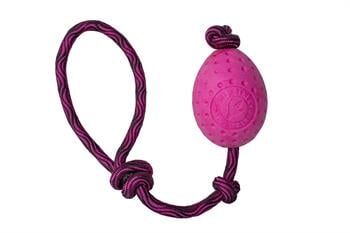 Kiwi Walker Dayanıklı Yüzen Köpek Oyuncağı Fırlat At Egg Maxi