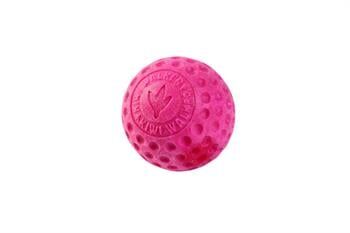 Kiwi Walker Dayanıklı Mini Ball Yüzen Köpek Oyuncağı