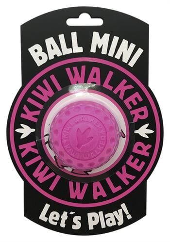 Kiwi Walker Dayanıklı Mini Ball Yüzen Köpek Oyuncağı