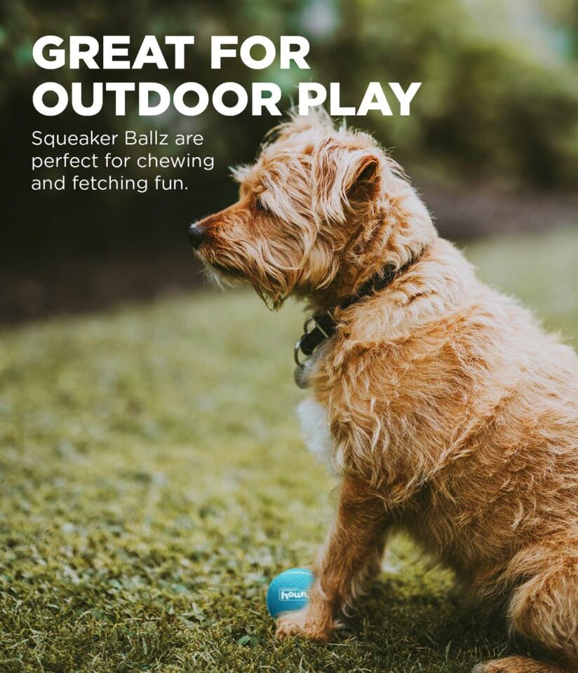 Petstages Squeaker Ballz Squeaky Tenis Topları, X-Small