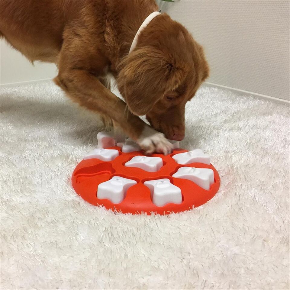 Outward Hound Dog Smart Interactive Treat Puzzle Köpek Oyuncağı, Turuncu