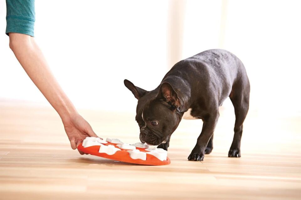 Outward Hound Dog Smart Interactive Treat Puzzle Köpek Oyuncağı, Turuncu