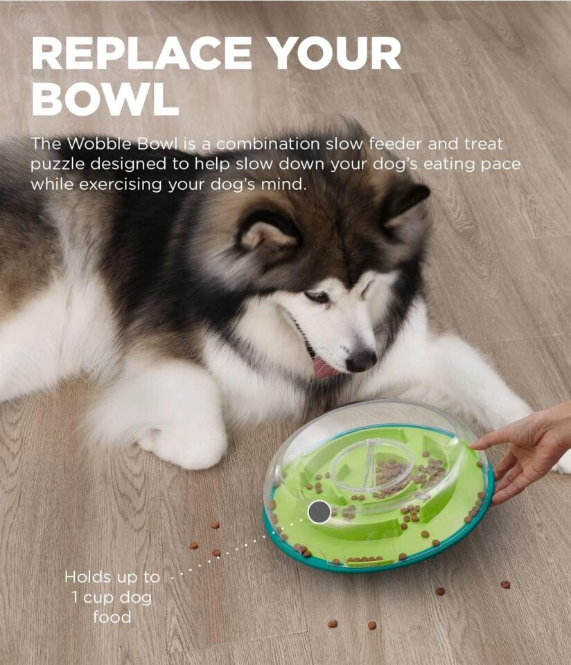 Outward Hound Wobble Bowl Interactive Treat Puzzle Köpek Oyuncağı Medium