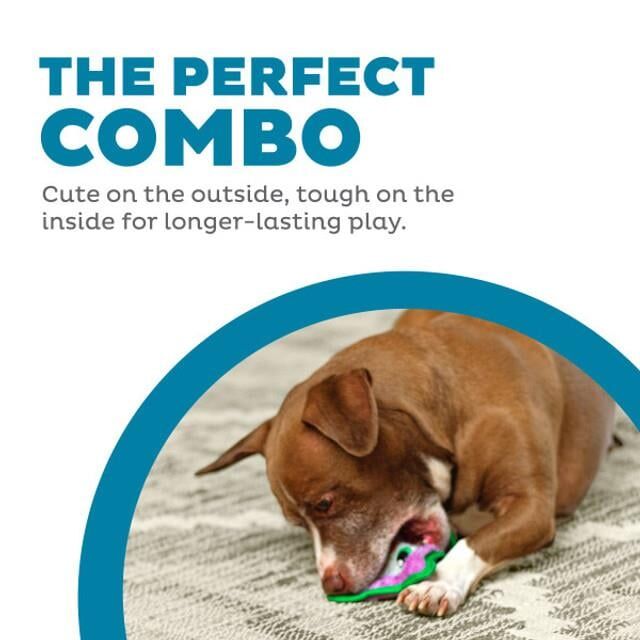 Durablez Owl Prp XS - 68146M Köpek Oyuncağı