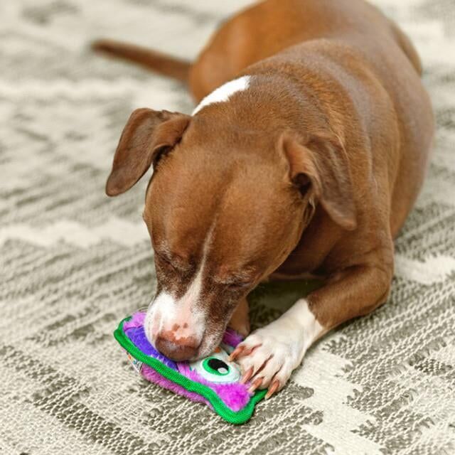 Durablez Owl Prp XS - 68146M Köpek Oyuncağı