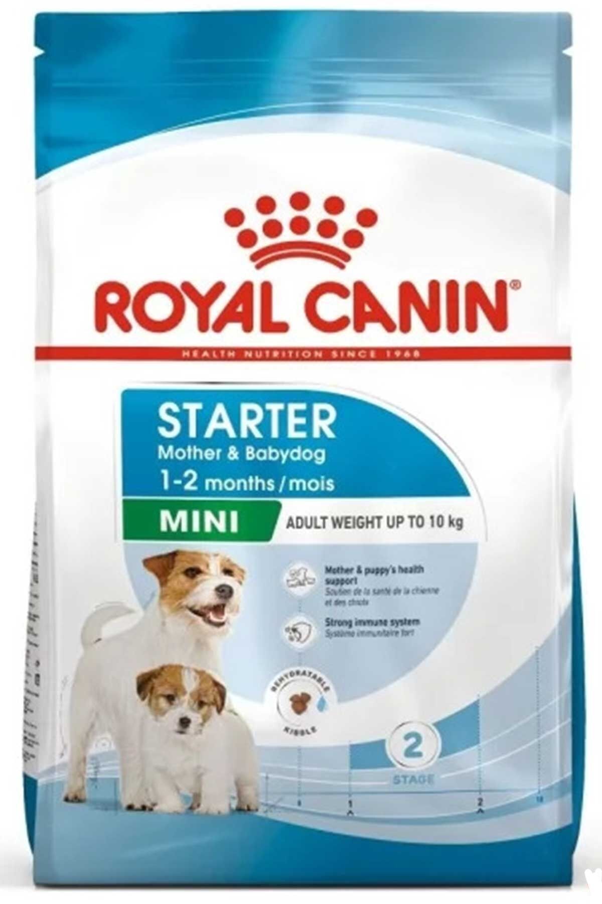 Royal Canin Mini Starter Köpek Maması 1kg