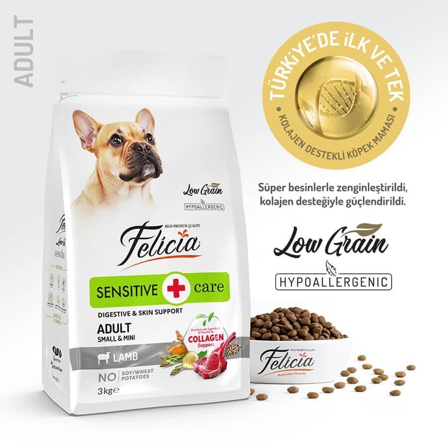 Felicia Small/Mini Breed Kuzulu Köpek Maması 3 Kg