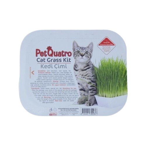 Pet Quatro Kedi Çimi Fileli