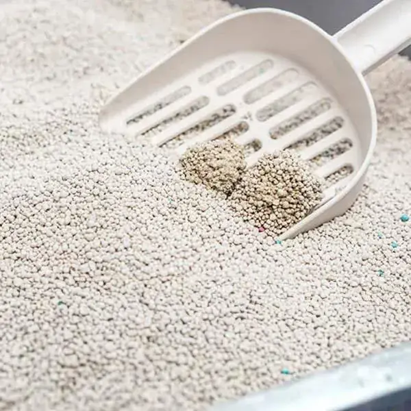 Proline Bentonit Bebek Pudralı İnce Taneli Topaklanan Kedi Kumu 10 Lt