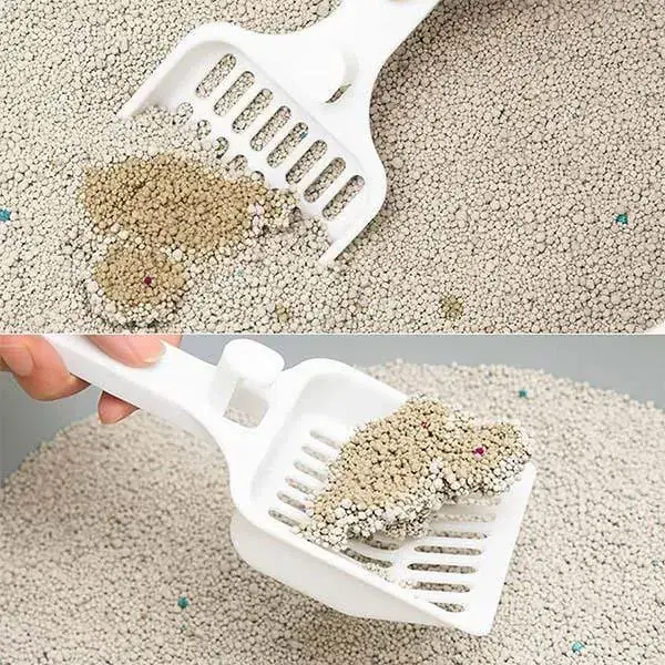 Proline Bentonit Aktif Karbonlu İnce Taneli Topaklanan Kedi Kumu 10 Lt