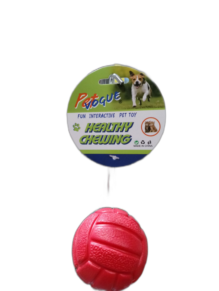 Sesli Basketbol Topu