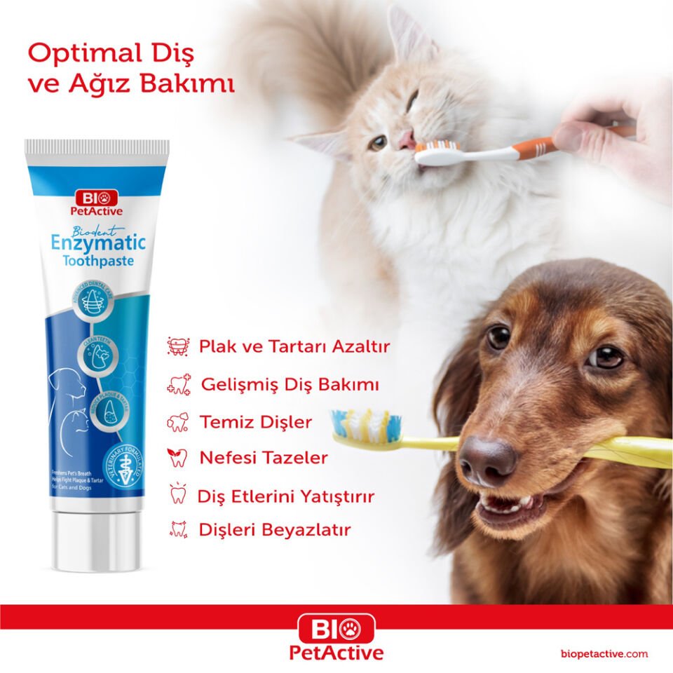 Biodent Enzymatic Toothpaste 100 Ml (Diş Macunu)