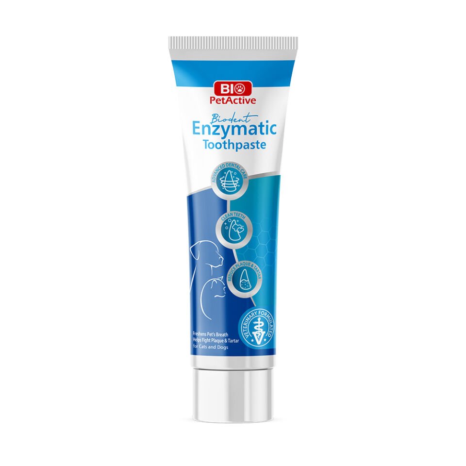 Biodent Enzymatic Toothpaste 100 Ml (Diş Macunu)