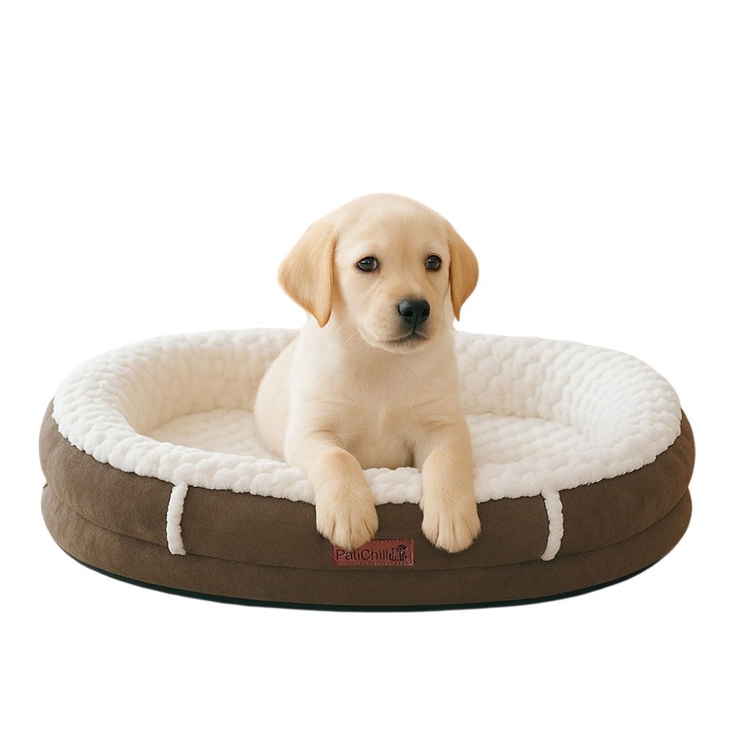 Pati Chill Simba peluş kedi köpek yatağı M beden krem